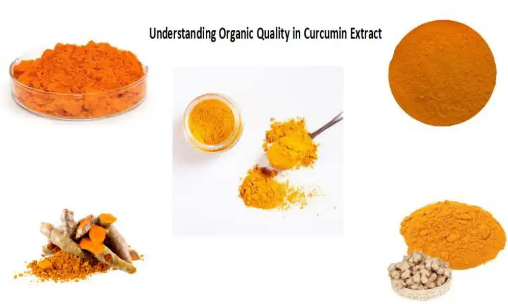 Understanding Organic Quality in Curcumin Extract